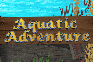 Aquatic Adventure